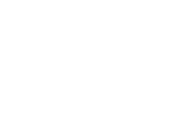 Ajust-A-Wing