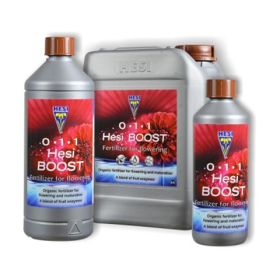 Hesi Boost