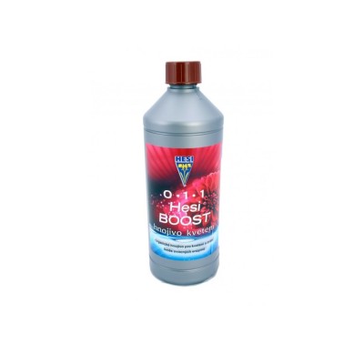 Hesi Boost