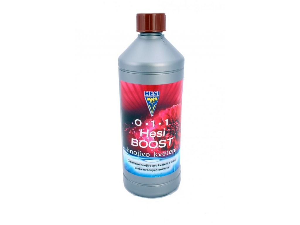 Hesi Boost