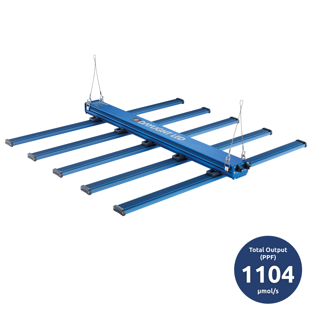 Maxibright DAYLIGHT 480W LED