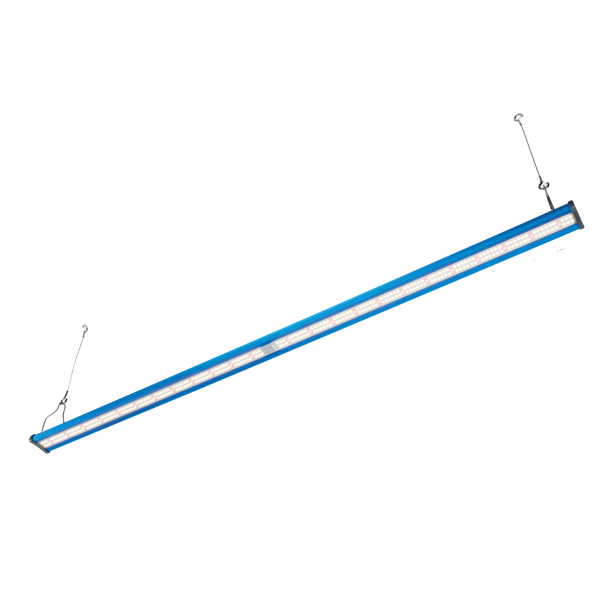 Maxibright DAYLIGHT 100W LED PRO (2nd Gen, Dimmable)