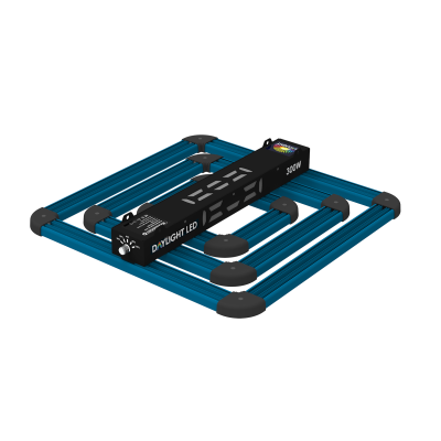 Maxibright DAYLIGHT 300W LED (Standard)
