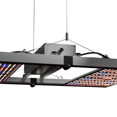 Caluma Force LED 480 W