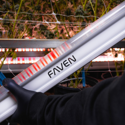 Faven R6 Under Canopy Light