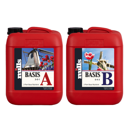 Mills Basis A