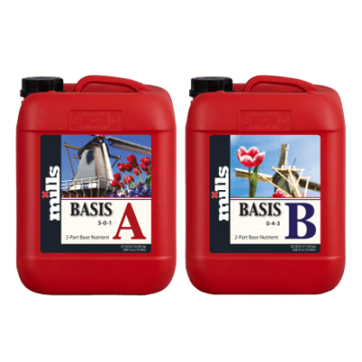 Mills Basis B