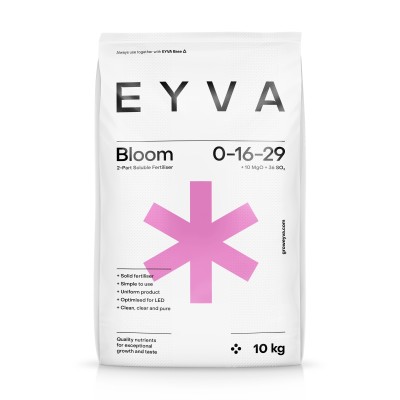 EYVA Powder Bloom