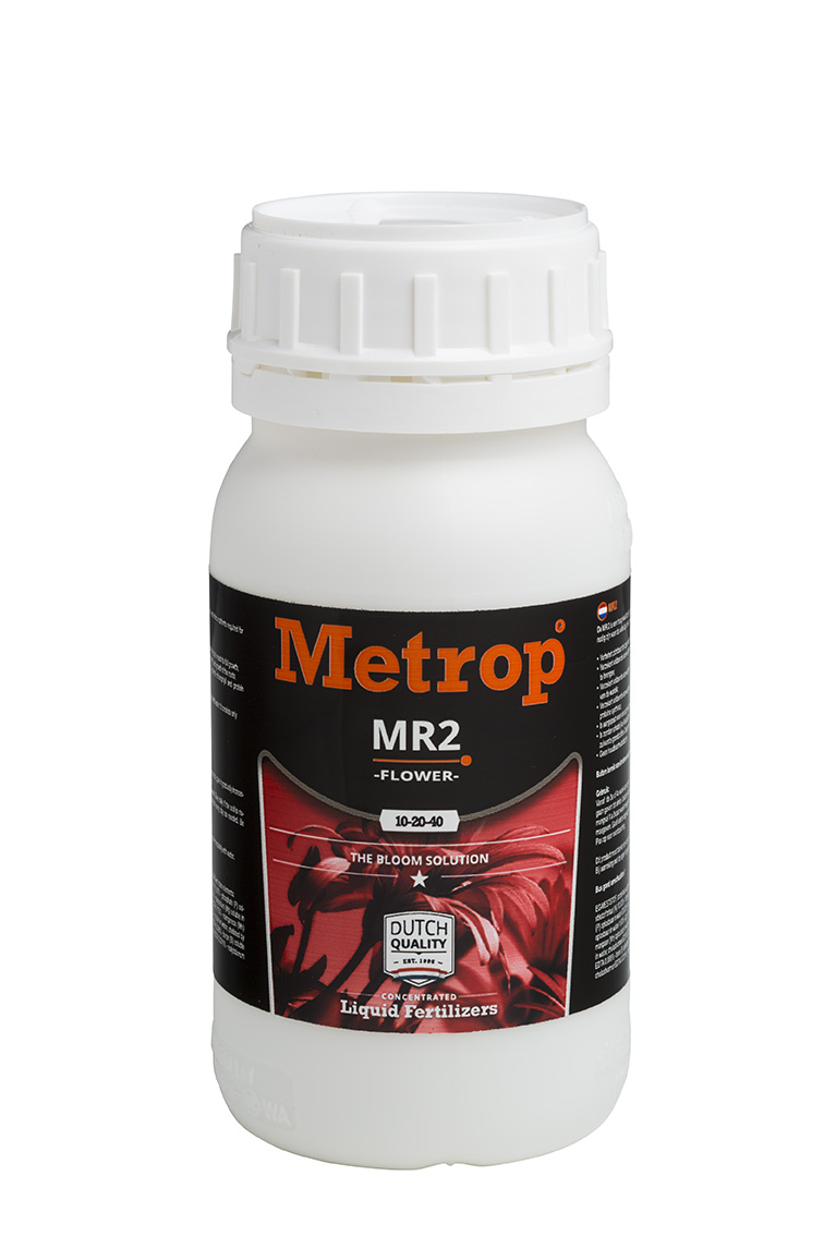 Metrop MR2