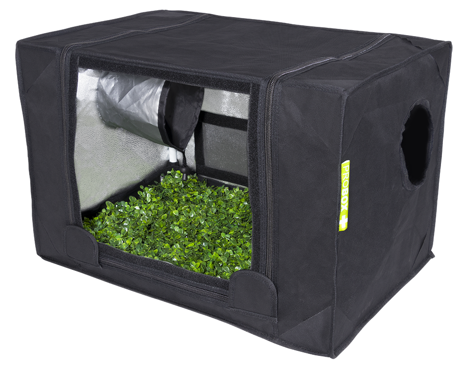 PROBOX Propagator S (60x40x40cm)