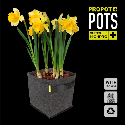 PROPOT