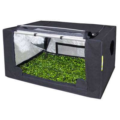 PROBOX Propagator M (80x60x40cm)