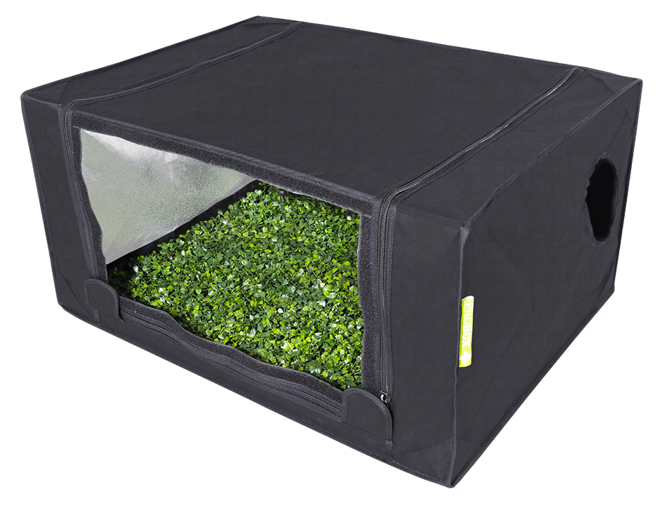 PROBOX Propagator M (80x60x40cm)