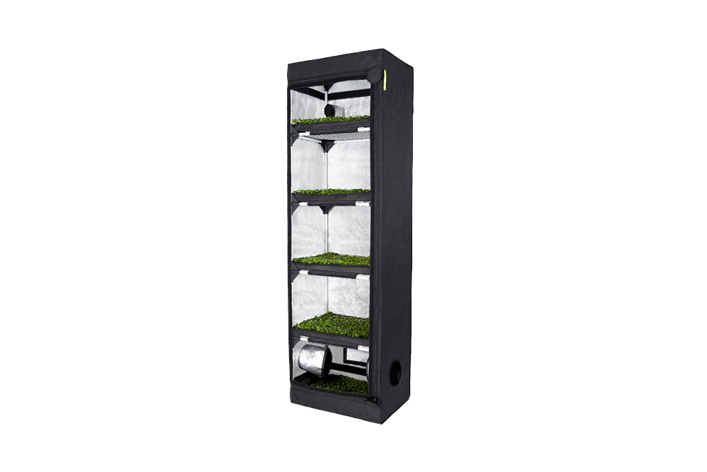 PROBOX Propagator L (60x40x200cm)