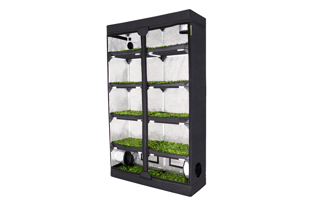 PROBOX Propagator XL (120x40x200cm)