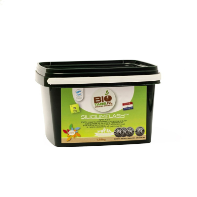 Biotabs Silicium Flash NEW